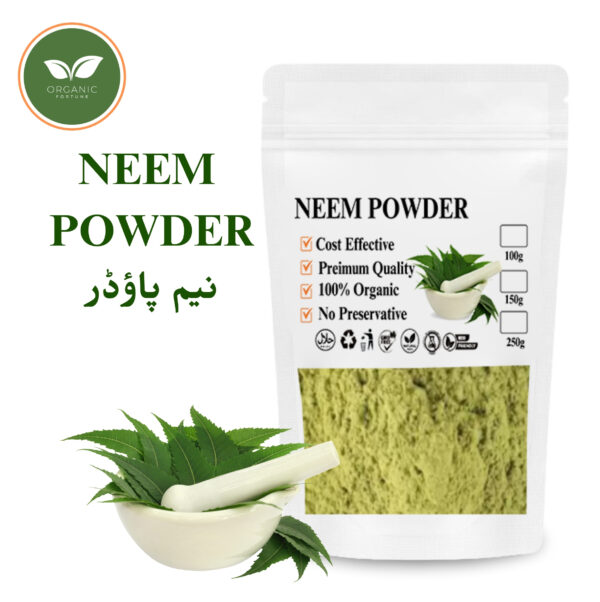 NEEM POWDER | 100 Gram | Organic