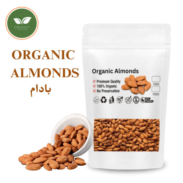 ORGANIC ALMONDS | 100 Gram | Organic