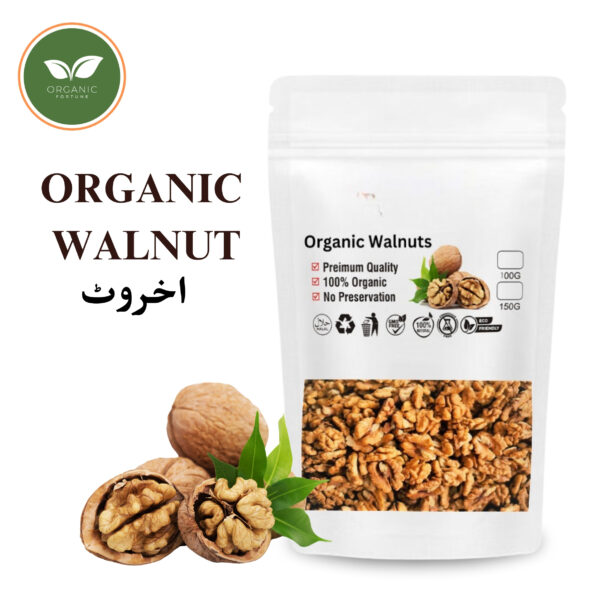 ORGANIC WALNUT | 100 Gram | Organic