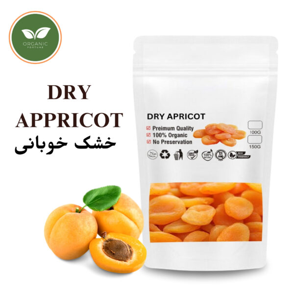 DIRED APPRICOT | 100 Gram | Organic