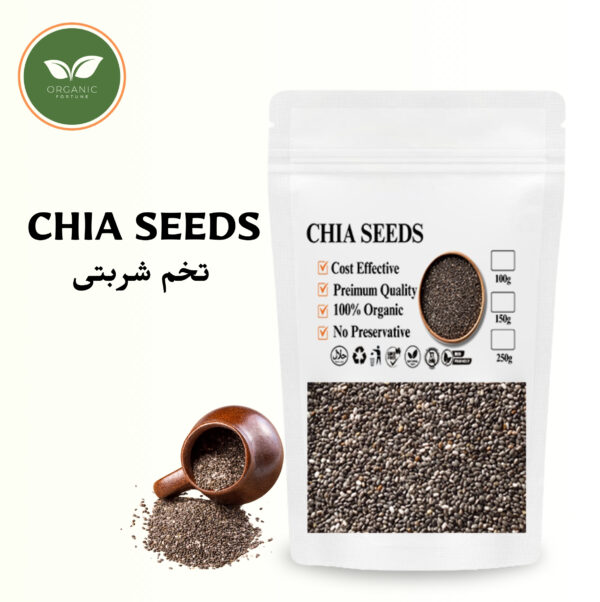 CHIA SEEDS | 100 Gram | Organic