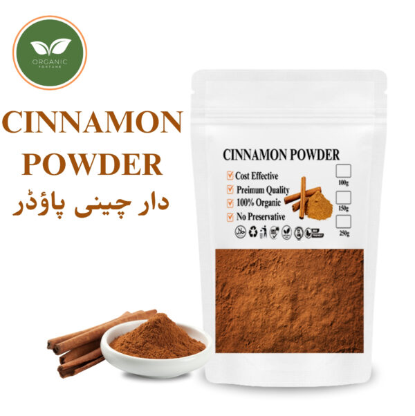 CINNAMON POWDER | 100 Gram | Organic