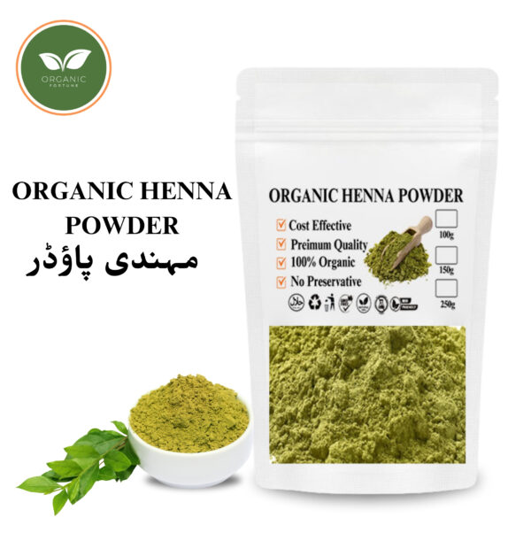 HENNA POWDER | 100 Gram | Organic