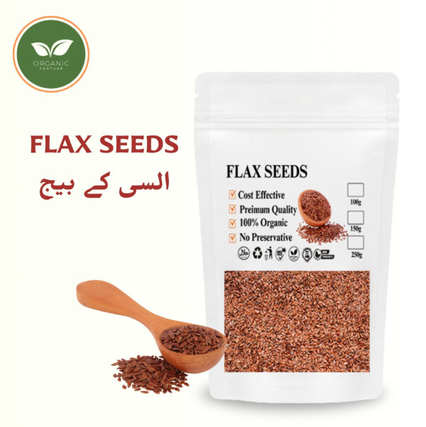 FLAX SEED | 250 Gram | Organic